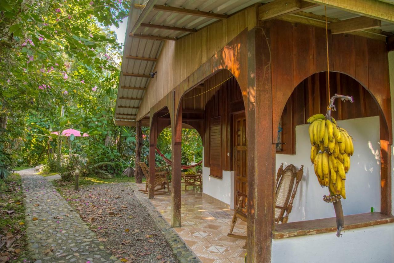 Cabinas Iguana Cahuita Exterior photo