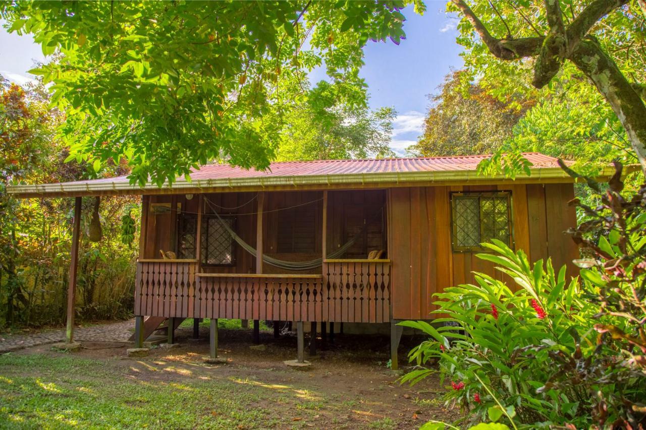 Cabinas Iguana Cahuita Exterior photo