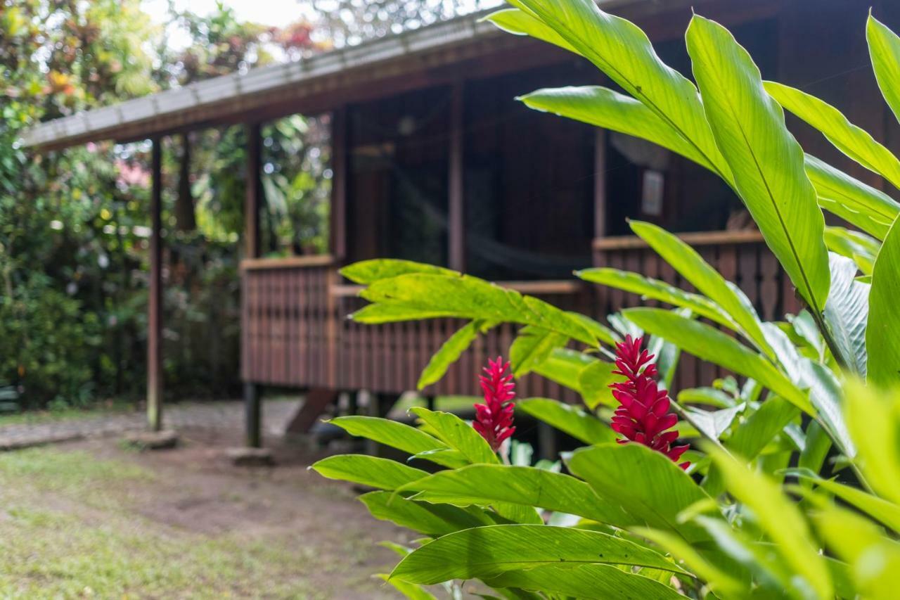Cabinas Iguana Cahuita Exterior photo