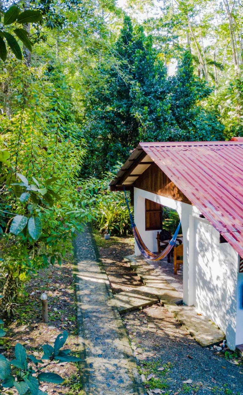 Cabinas Iguana Cahuita Exterior photo